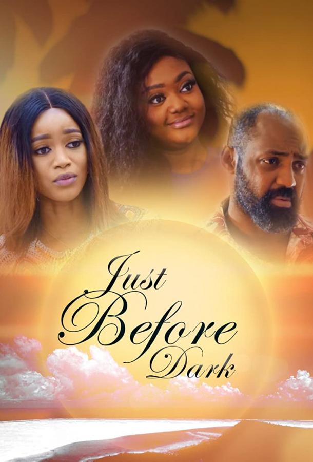 Пока не стемнеет (2020)