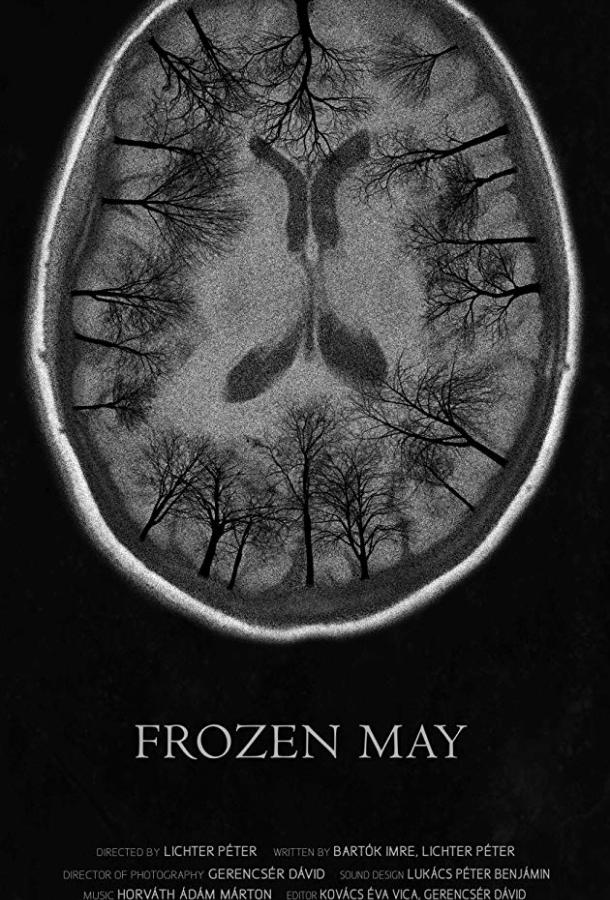 Морозный май (2017)