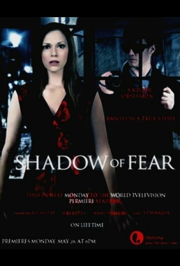 Опасные влечения (2012)