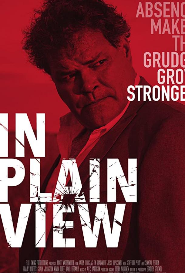 В Плэйнвью (2018)