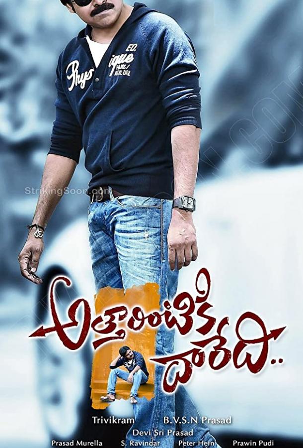 Путь к дому тёти (2013)