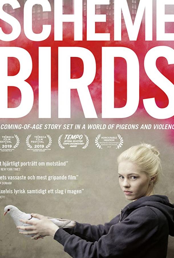 Птички Предместья (2019)