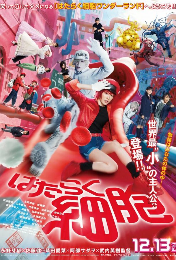 Клетки за работой (2024)