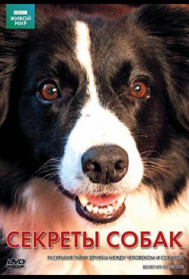 BBC: Секреты собак (2010)