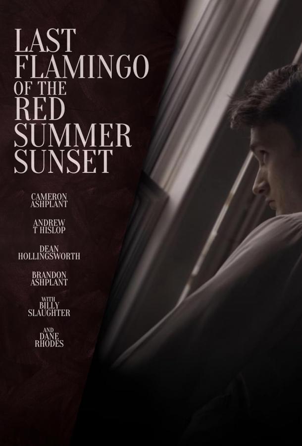 Последний фламинго красного летнего заката (2024)